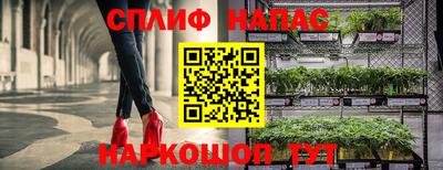 ешки Славянск-на-Кубани