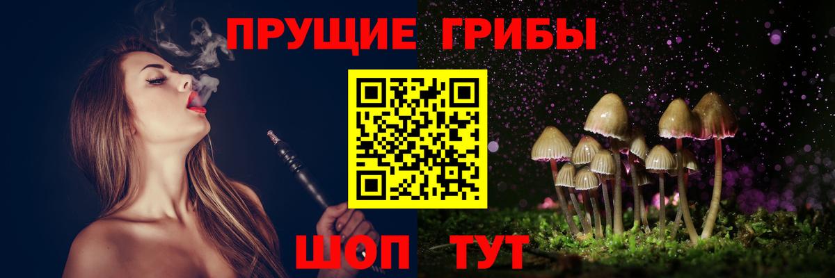 Галлюциногенные грибы мицелий  Вход с VPN  где купить наркоту  Норильск  Галлюциногенные грибы Psilocybine cubensis 